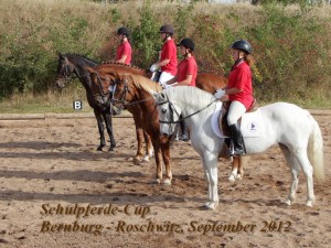 Schulpferdecup-2012-00